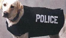 K-9 Protector