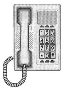 txp.gif - 47578 Bytes
